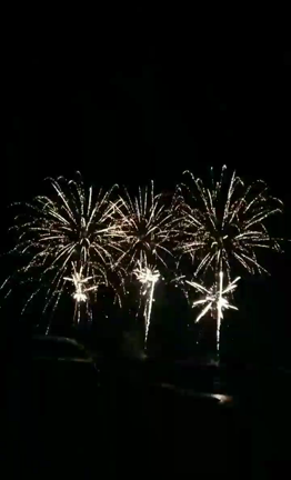 HANABI花火♪感性を高め、真夏の想い出ができました。の記事動画