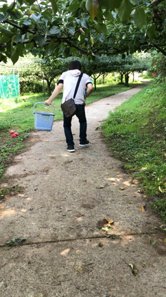 スマイルっ子 秋の遠足の記事動画