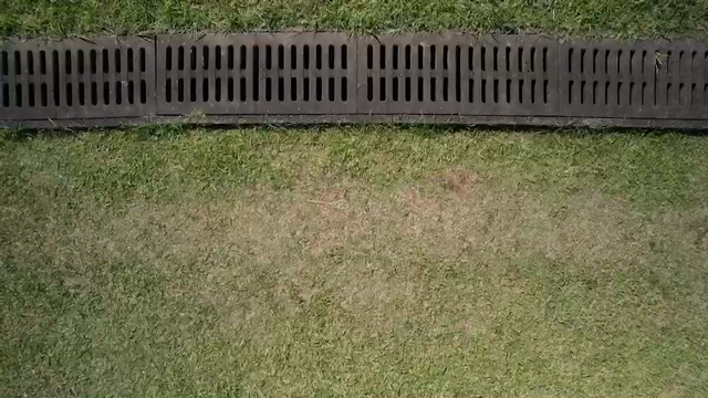 #いつフェス#ドローン撮影の記事動画