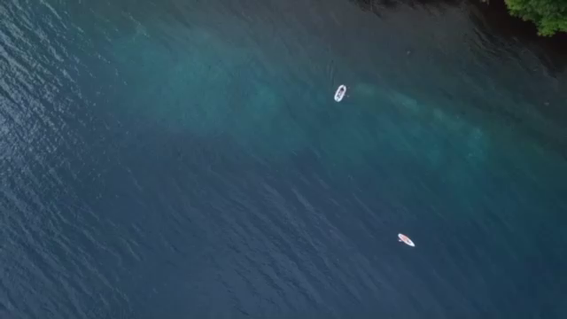 コロナ禍でも静かに楽しむの記事動画