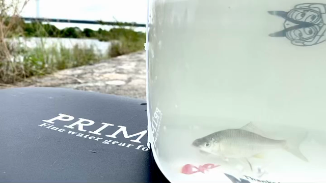 出掛けてますよー3の記事動画