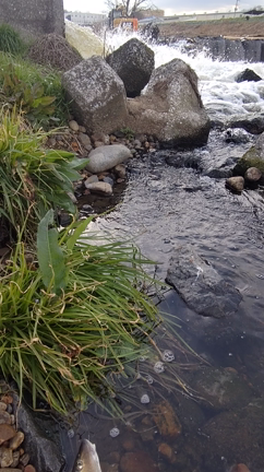 【近所の川釣り2023】始動！の記事動画