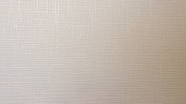 お久しぶりのイベント出演のお知らせ！！の記事動画