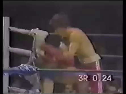 これです。の記事動画