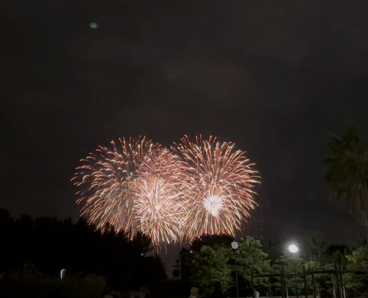 浦安市花火大会の記事動画