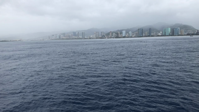 ホエールウォッチング＊ハワイ。の記事動画