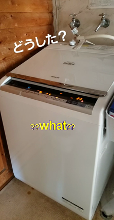 入ってて良かった✌の記事動画
