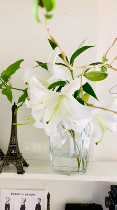 フランネルフラワー、クリスマスアレンジ。暦を学ぶ18〜24日まで。の記事動画