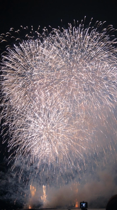【逗子花火大会】！！！の記事動画
