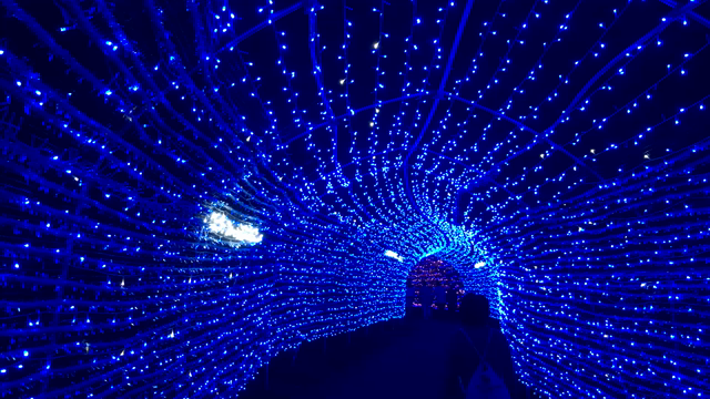 妙高高原 二日目の記事動画