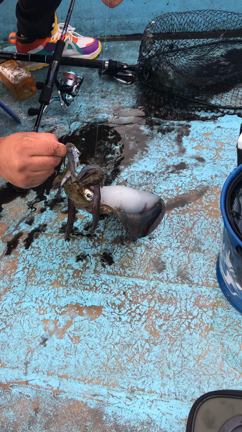 2023/11/05の記事動画