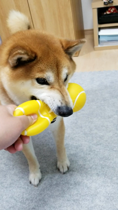 お手紙嬉しい♡の記事動画