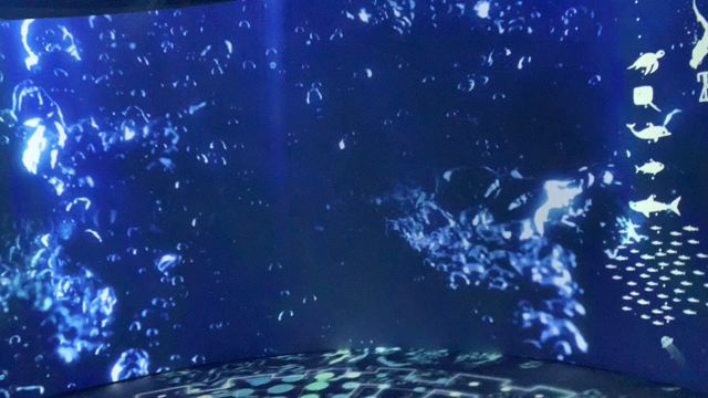 OCEAN BY NAKEDの記事動画