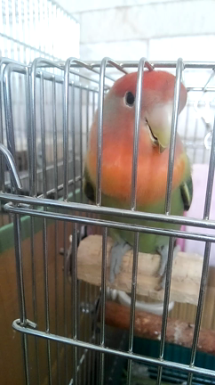 朝のひとこま☆の記事動画