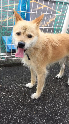 富山市保健所情報の記事動画