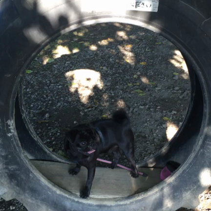 私のシルバーウィーク♪2日目の記事動画