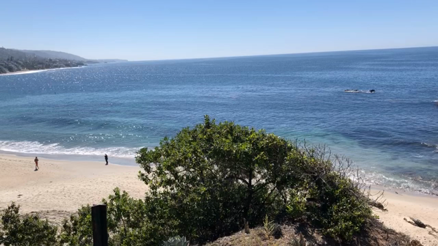 カリフォルニア・ラグナビーチの記事動画