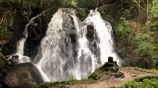 マイナスイオンたっぷりの大自然の記事動画