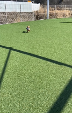 初めて〜のアオプラスワン『ao+1』でいっぱい遊びました♪の記事動画