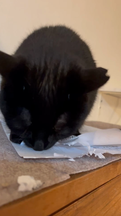 6月23日金曜日の記事動画