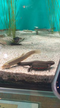 わたしの2月の記事動画