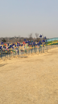 オススメ公園で春感じる♡の記事動画
