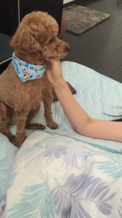 マッサージおねだり❤︎の記事動画