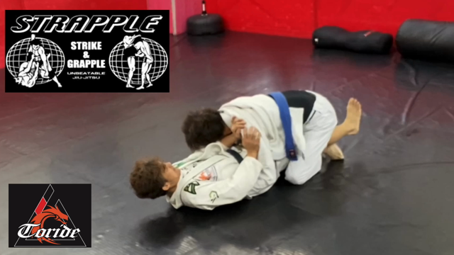 土曜朝クラスの記事動画