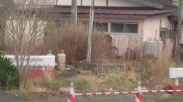 福島を訪れて。記事２。の記事動画