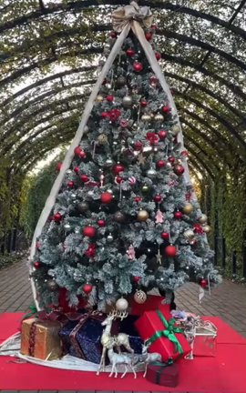 テレビで姿が見られるよ！ヽ(´▽｀)/の記事動画