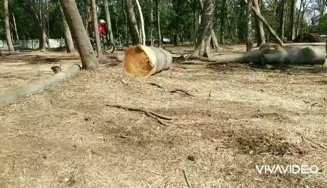 越えるって大変の記事動画