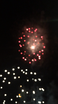 おぉーっと思った出来事♪の記事動画