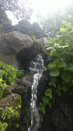 深川不動堂〜両大師〜神田明神の記事動画