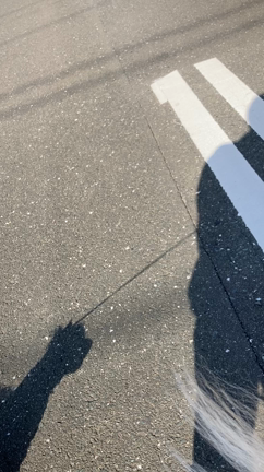 今日の散歩の記事動画