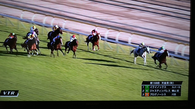 焼酎ストリートの記事動画