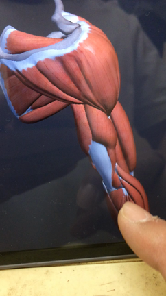 最近のアプリは、凄いなぁの記事動画