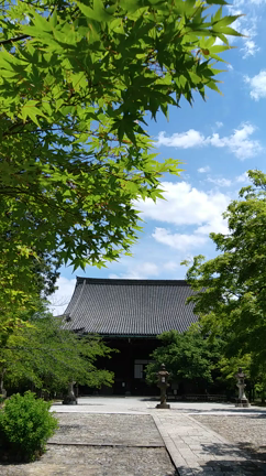 初夏の京都♡吉田山～真如堂の記事動画