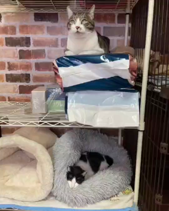 プロジェクトありがとうございましたの記事動画