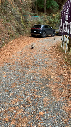 2021②結婚記念日は・・の記事動画