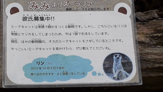 凄いぜ！ズーラシア！の記事動画