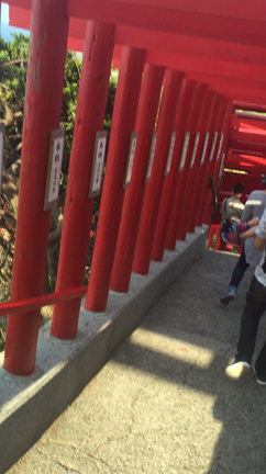 撮影旅行の記事動画