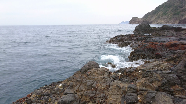 宮ノ浦の記事動画