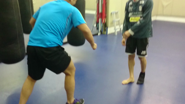 急遽ガースーと対戦！結果は…(動画あり)の記事動画