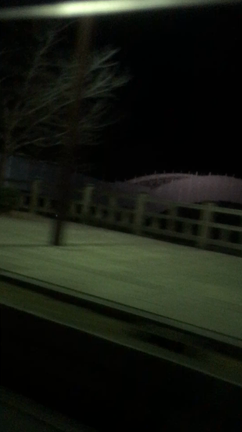 2020帰省、白蛇神社、お不動様、萩の記事動画