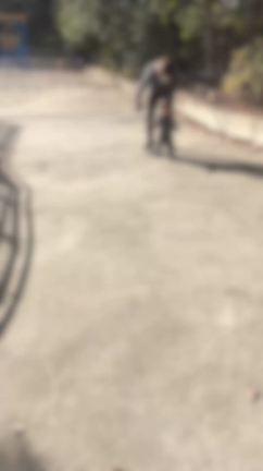 うちの子って、こんな子。②の記事動画