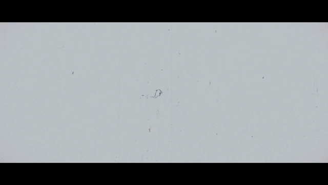 2023/01/18ダイジェストの記事動画