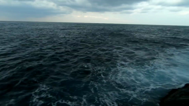 沖の島159／2019-49の記事動画