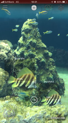 かざすAI図鑑 LINNÉ LENS  葛西臨海水族園の記事動画