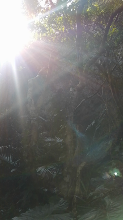 沖縄最強パワースポット★斎場御嶽の記事動画