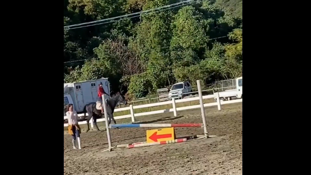 お馬のお稽古はつづくよ　with 断捨離® やましたひでこ♡の記事動画